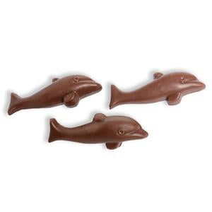 Love Byron Bay Organic Chocolate Milk Dolphins